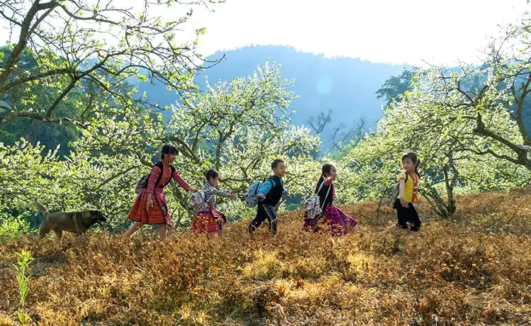 Tour du lịch Mai Châu - Mộc Châu 3 ngày 2 đêm