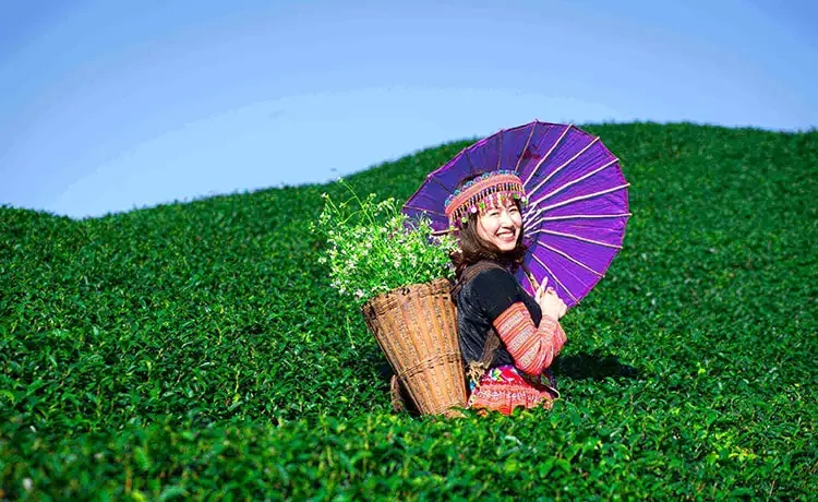 Tour du lịch Mai Châu - Mộc Châu 3 ngày 2 đêm