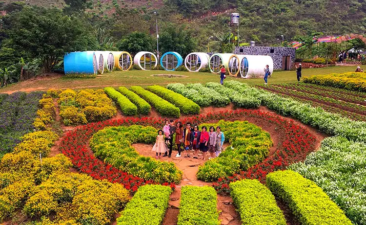 tour mai châu mộc châu 3 ngày 2 đêm