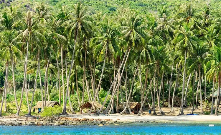 Tour du lịch Nam Du 1 ngày Câu cá - Lặn ngắm san hô
