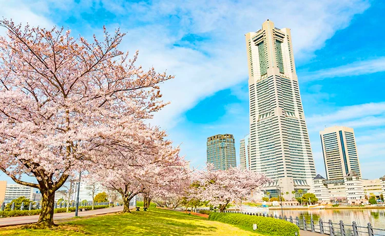 Tour du lịch Nhật Bản 5 ngày 4 đêm