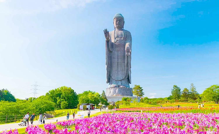 Tour du lịch Nhật Bản 5 ngày 4 đêm