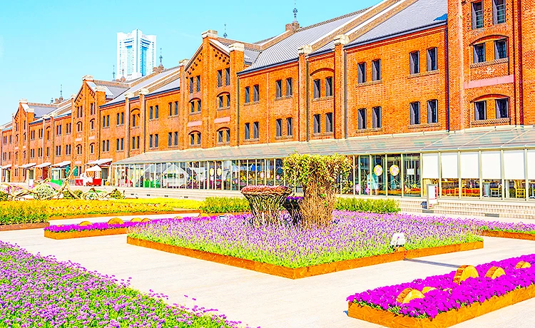 tour du lịch nhật bản 4 ngày 3 đêm