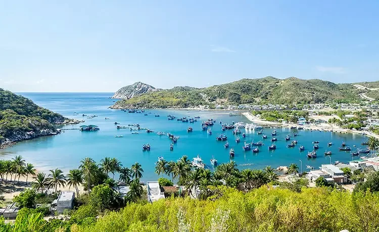 Tour du lịch Ninh Thuận 1 ngày Hang Rái - Vịnh Vĩnh Hy - Vườn Nho