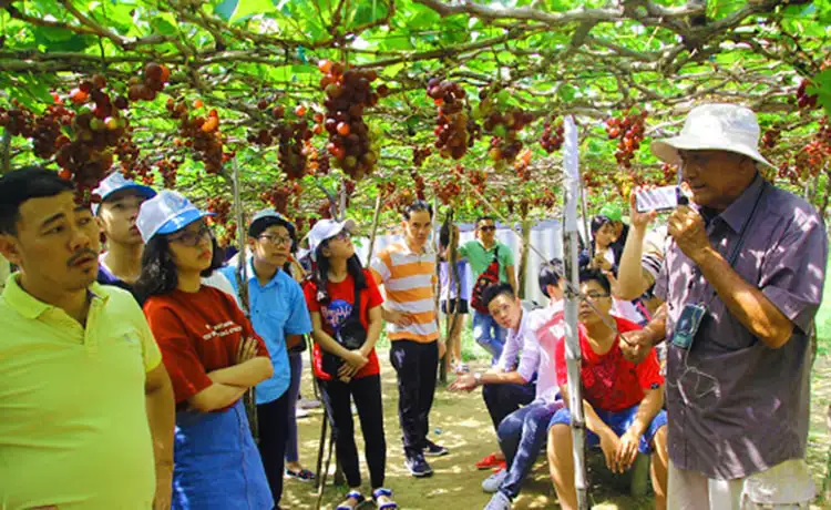 tour du lịch Ninh Thuận