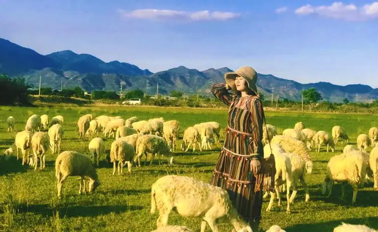 tour du lịch Ninh Thuận