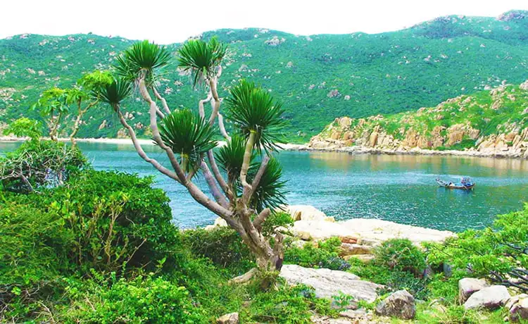 tour du lịch Ninh Thuận