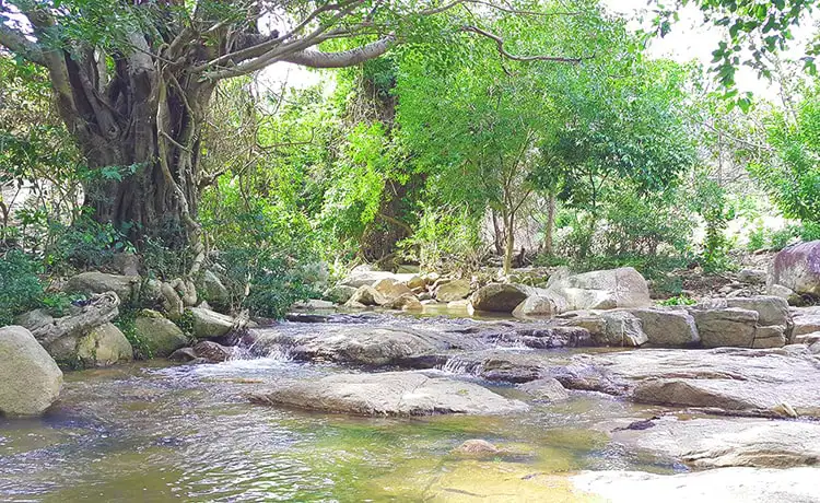 tour du lịch Ninh Thuận