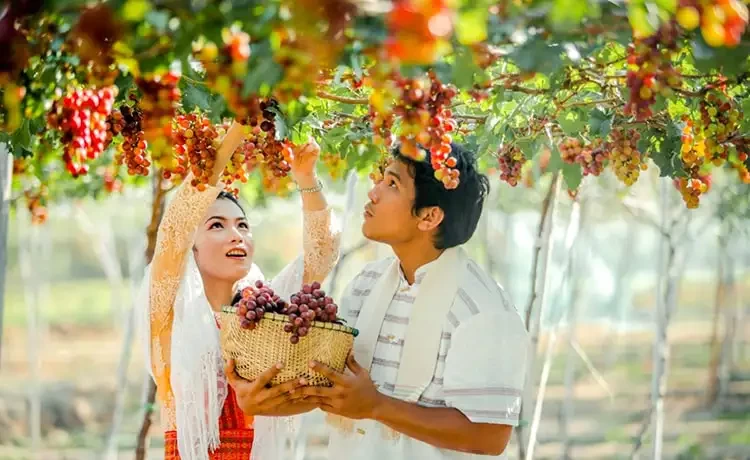 Tour du lịch Ninh Thuận 3 ngày 2 đêm