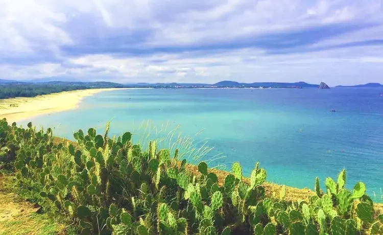 Tour du lịch Phan Thiết 2 ngày 1 đêm