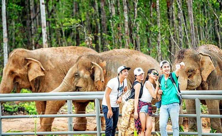 Tour du lịch Phú Quốc 3 ngày 2 đêm (3N2D)