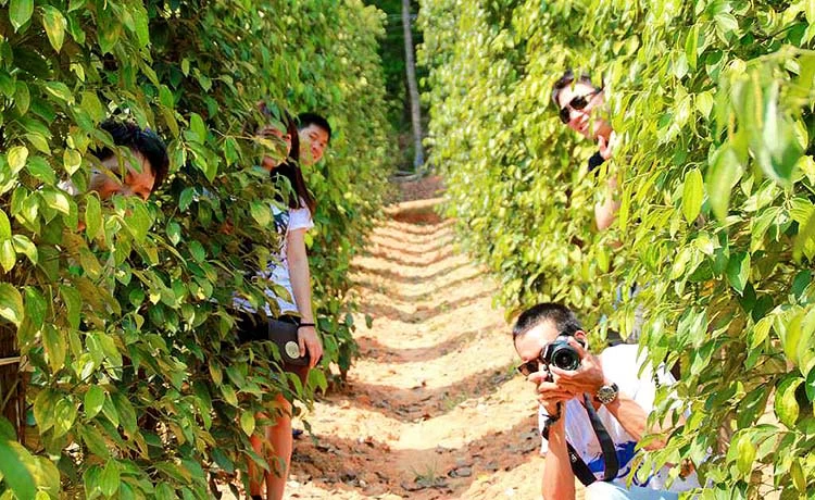 Tour du lịch Phú Quốc 4 ngày 3 đêm (4N3D)