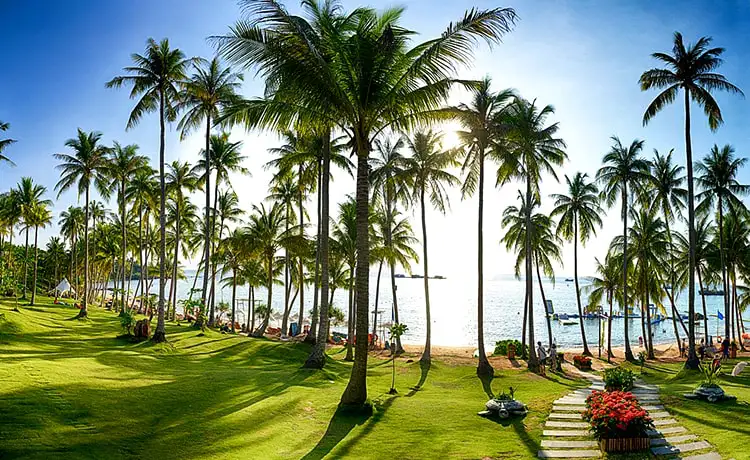 cap-treo-hom-thom-phu-quoc