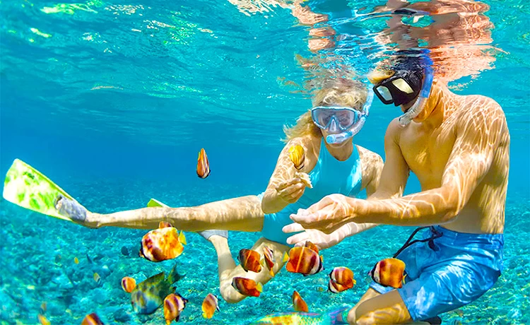 Tour kết hợp Câu cá lặn ngắm san hô - Câu mực đêm Phú Quốc trong ngày