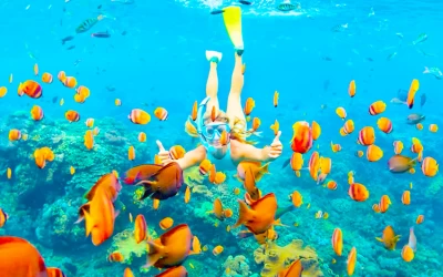 Tour Câu cá - Lặn ngắm san hô Bắc đảo Phú Quốc trong ngày