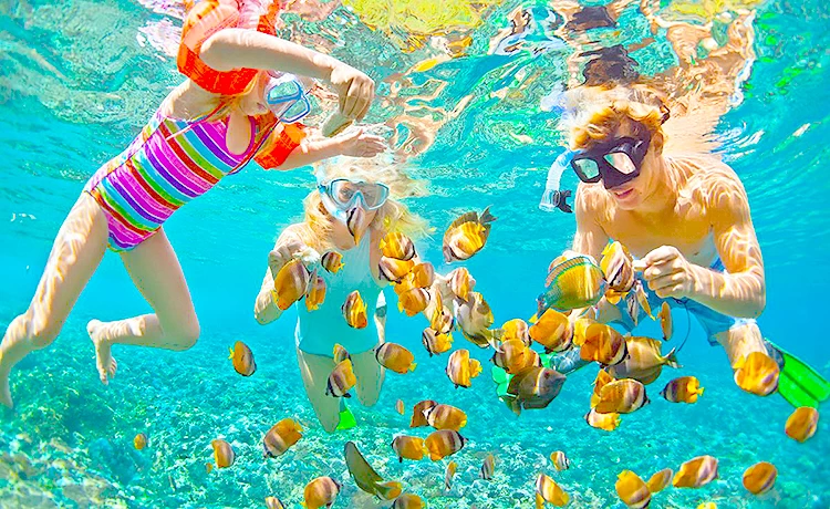 Tour Câu cá - Lặn ngắm san hô Bắc đảo Phú Quốc trong ngày