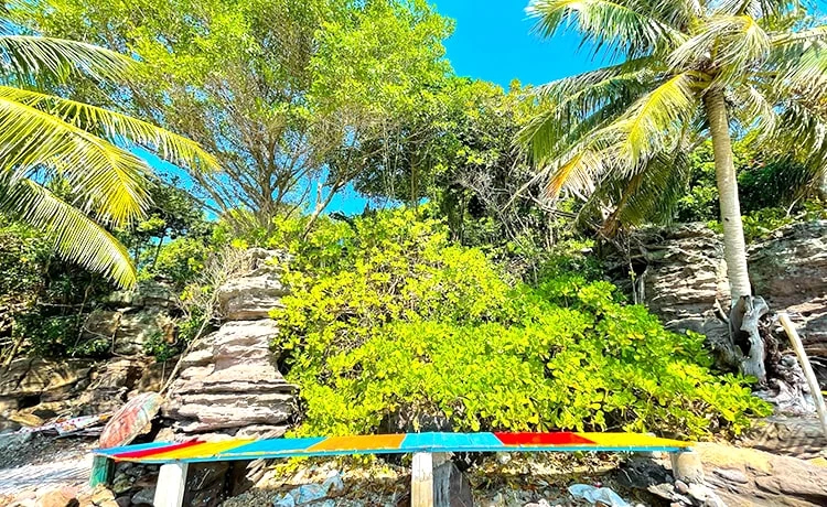 Tour 2 đảo Phú Quốc trong ngày Câu cá - Lặn ngắm san hô