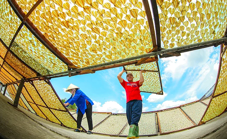 Tour tham quan Bắc đảo Phú Quốc trong ngày