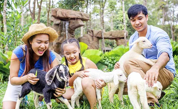 Tour Vinwonders - Safari - Grand World Phú Quốc 1 ngày