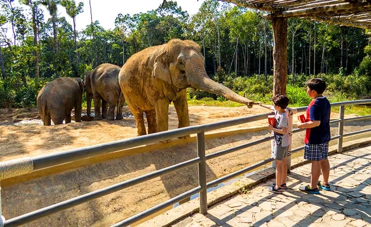 Tour Vinwonders - Safari - Grand World Phú Quốc 1 ngày