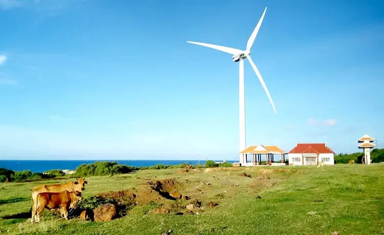 Tour du lịch Phú Quý 2 ngày 1 đêm