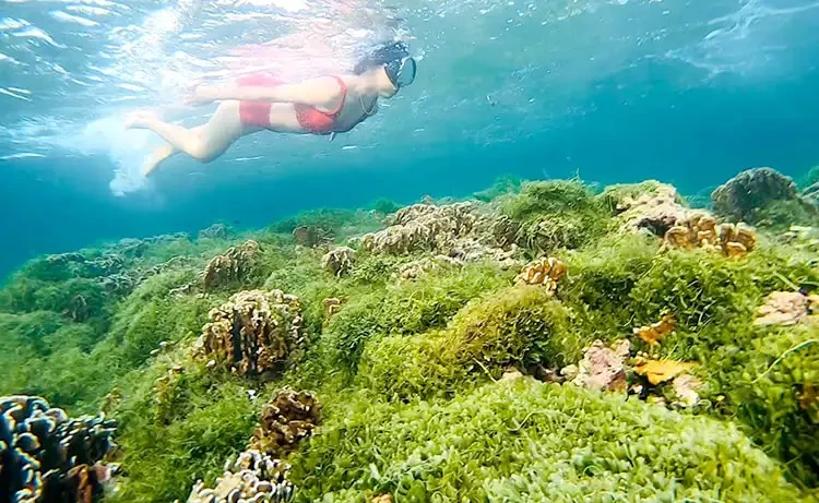 Tour du lịch Phú Quý 2 ngày 1 đêm