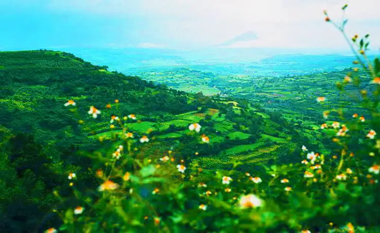 tour du lịch Phú Yên