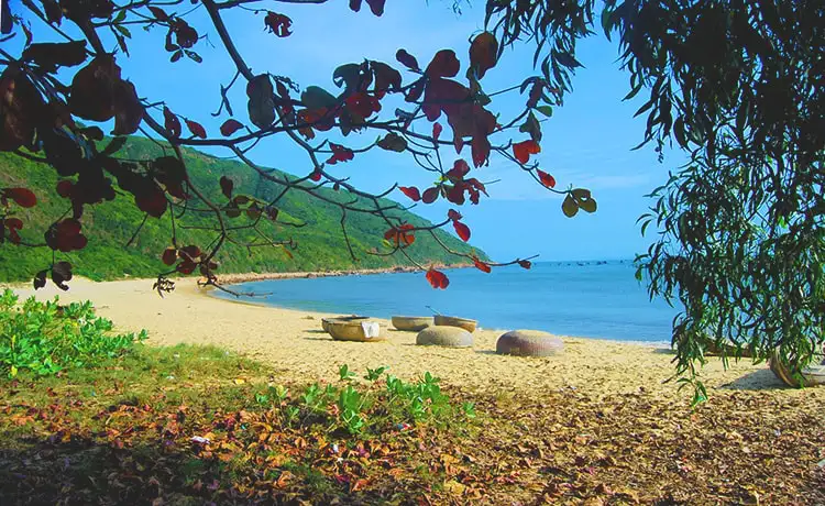 tour du lịch Quy Nhơn