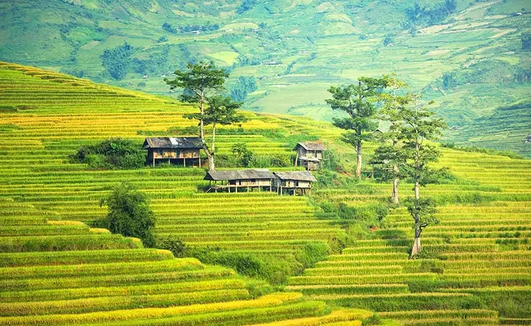 Tour du lịch Sapa 2 ngày 1 đêm