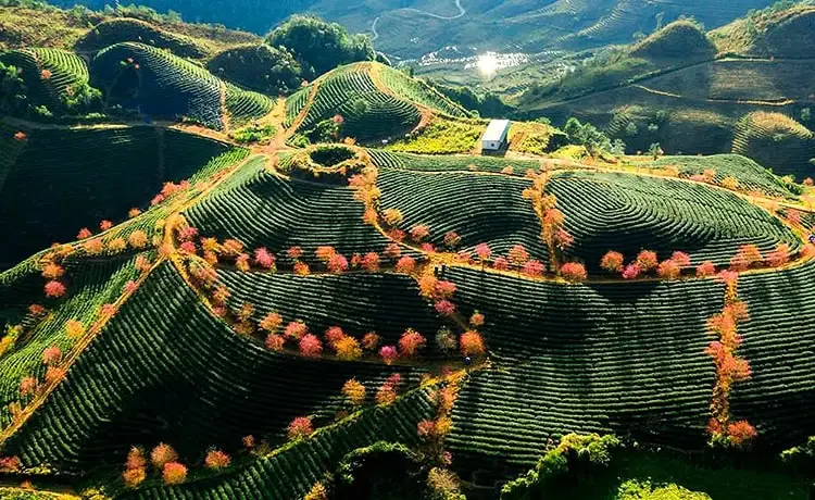 Tour du lịch Sapa 4 ngày 3 đêm
