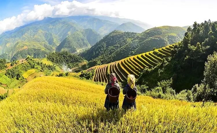 Tour du lịch SAPA - MOANA - CÁT CÁT 2 ngày 1 đêm