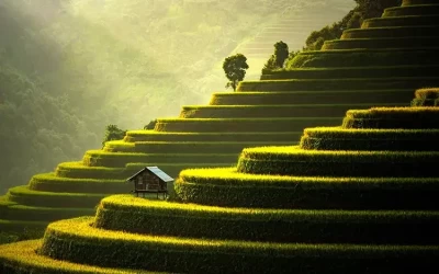 Tour du lịch SAPA - MOANA - FANSIPAN- BẢN CÁT CÁT 2 ngày 2 đêm