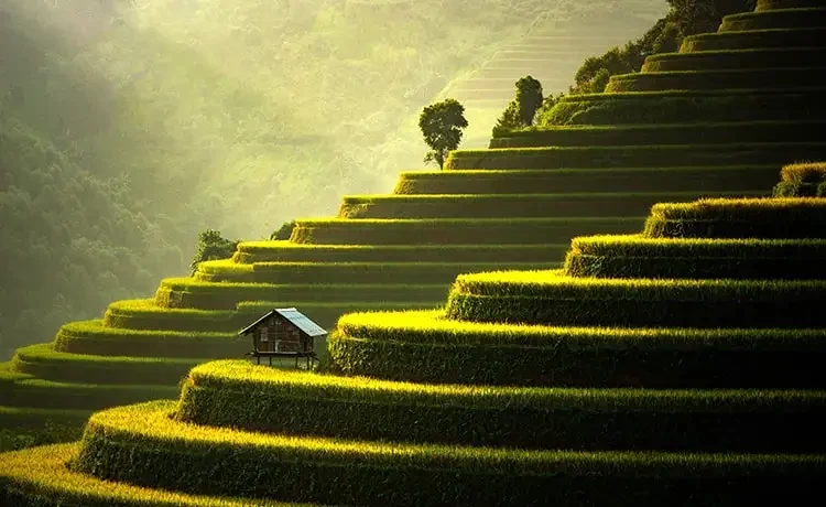 Tour du lịch SAPA - MOANA - FANSIPAN- BẢN CÁT CÁT 2 ngày 2 đêm