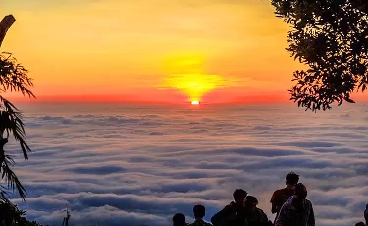 Tour du lịch Tây Ninh trong ngày