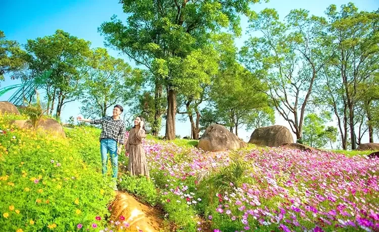 Tour du lịch Tây Ninh trong ngày