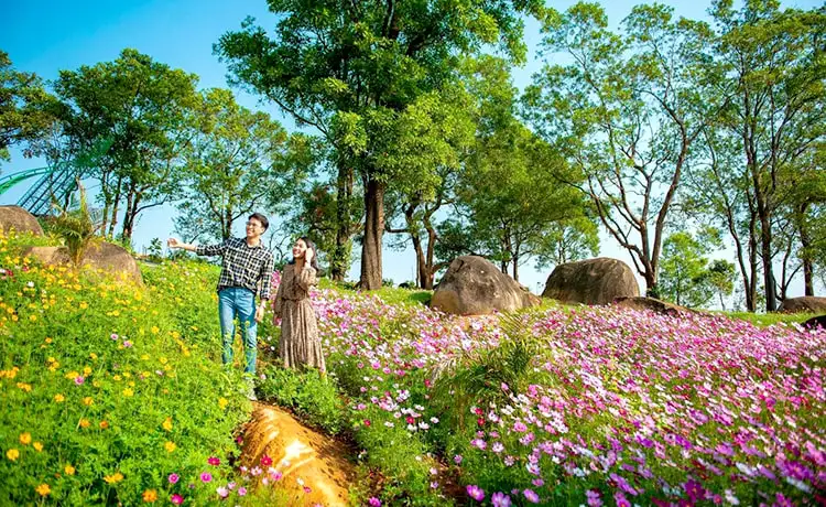 tour tây ninh 3 ngày 2 đêm