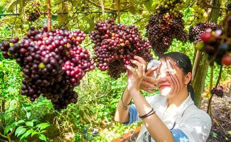 Tour du lịch Tây Ninh 2 ngày 1 đêm