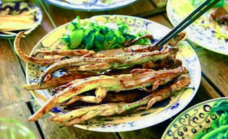 tour du lịch Tây Ninh