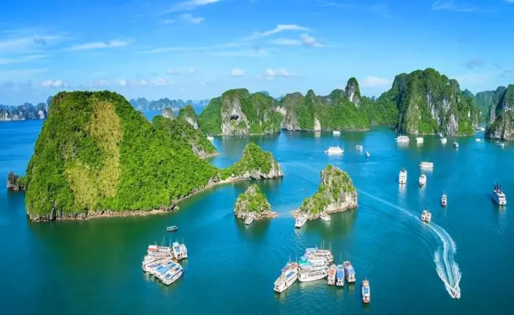 Tour du lịch Vịnh Hạ Long trong ngày