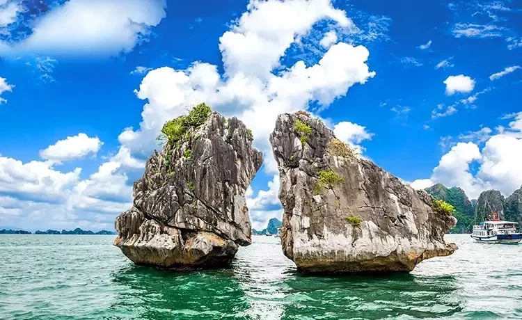 Tour du lịch Vịnh Hạ Long trong ngày