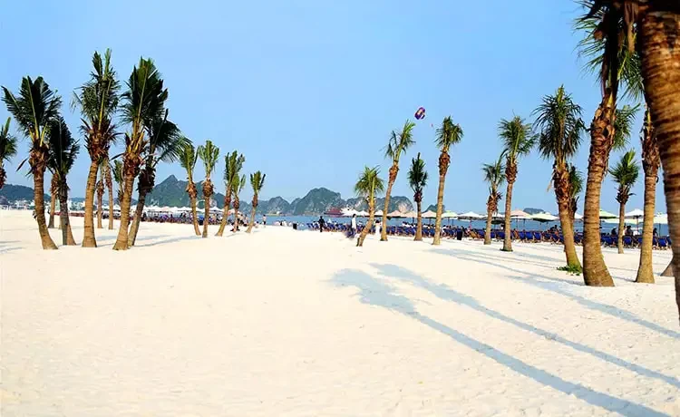Tour du lịch Vịnh Hạ Long trong ngày
