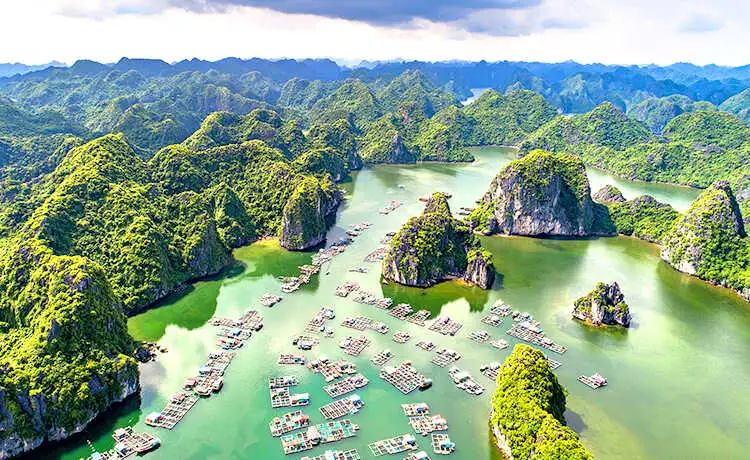 du lịch vịnh hạ long
