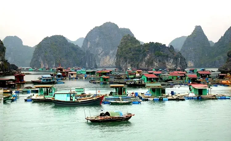 Tour du lịch Vịnh Hạ Long 3 ngày 2 đêm