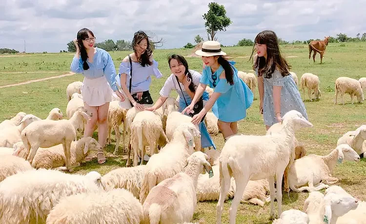 Tour du lịch Vũng Tàu trong ngày