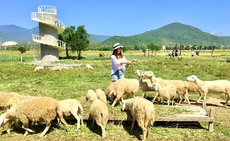 Tour Hang Rái - Vĩnh Hy - Bình Hưng trong ngày
