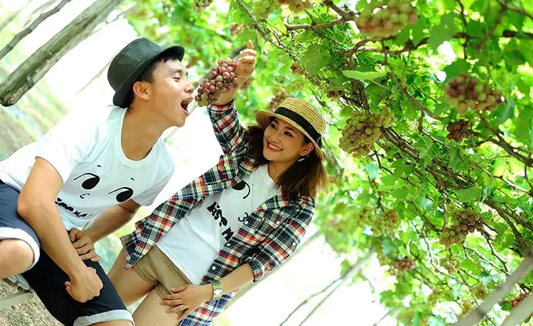 tour du lịch bình hưng 2 ngày 1 đêm