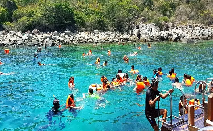 Tour lặn biển ngắm san hô Hòn Mun Nha Trang trong ngày