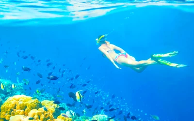 Tour 3 đảo Phú Quốc trong ngày Câu cá - Lặn ngắm san hô
