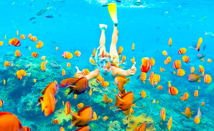 Tour 3 đảo Phú Quốc trong ngày Câu cá - Lặn ngắm san hô