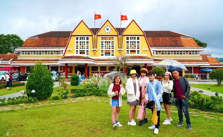 Tour tham quan Đồi chè Cầu Đất Farm Đà Lạt trong ngày